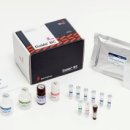 이앤에스케어 이미지