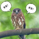 우각농장 이미지