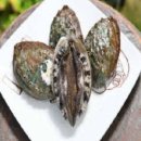 PARTNER SHOP(파트너샵) 이미지