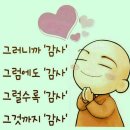 청양친환경블루베리농장 이미지