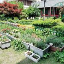 박애어린이집 이미지