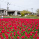 낙동강관리본부 화명생태공원 4 이미지