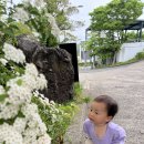 삼매봉153