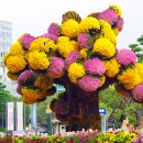 서울 조계사의 국화축제를 함께 합니다(10/10). 이미지