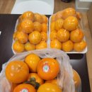 365황금손한의원 이미지