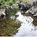 신례2리(공천포) 1 이미지