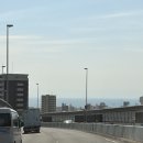 전차 | 즈이키(ZUIKI) 전차로고 컨트롤러 마스콘 후기