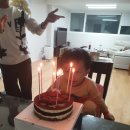 용달특공대 | 프뢰벨 035 3주차 유창성 후기 +) 36개월 남아 북트리