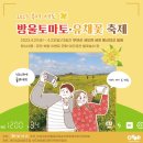 부여 세도 유채꽃축제 이미지