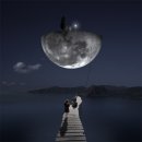 바라보다 이미지