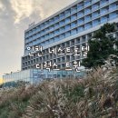 S무인호텔 | 인천 영종도 네스트호텔 디럭스 트윈 후기 | 인천공항 근처 힐링여행