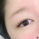 마이뷰티 왁싱앤래쉬 | 까치산역 속눈썹연장 추천｜마이뷰티왁싱앤래쉬 속눈썹 마스카라연장 후기