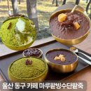 등대마루 | 울산 디저트 카페 일산해수욕장 대왕암 공원 카페 추천 울산 팥빙수 마루팥빙수단팥죽 대왕암점