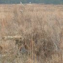 99사이트 이미지