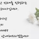 영도장의사
