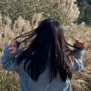 계룡로500번길 | 대전미용실 펌 잘하는 곳 인더에이블 갈마점 후기