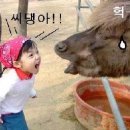 앙 이미지