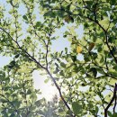 행복한날 이미지