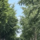 [용인] 한알abm 다녀온 후기