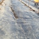 느림보농장 이미지