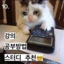 최연식 | 02. 미술 임용 합격 수기 - 1차 강의, 공부 방법, 스터디 추천