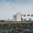 플라이무드 이미지