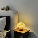 손예지 | 내돈내산 집꾸템 후기 2 🏡 (유소트 쿠션커버, 챈초이 조명, 에프에프 컬렉티브 바스켓, 키친클로스...
