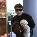 강쥐애견샵 이미지