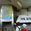 거북곱창 이미지