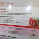노블클래식에스테틱 | 정자동 피부관리 : 세레니끄 임플란트노블테라피 후기