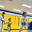 용인대백상태권도 이미지