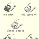 예쁜손톱 이미지
