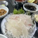 부산명물횟집 | 🐟 부산 회백반 맛집 찾는다면? 자갈치시장 &lt;부산명물횟집&gt; 솔직 후기✨