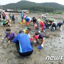 서중어촌체험휴양마을 이미지