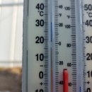 영하농장 이미지