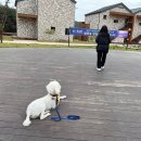 만경여자고등학교 이미지