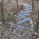 별이머무는곳 이미지