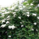 홍천산골놀이터 이미지