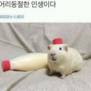 코리아나노래방 | 251004 온 세상이 불협일지라도
