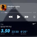 100만뷰블로그만들기 | 후니하루 주간일기 (26년 5월 이야기)