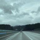 계곡과소나무 캠핑장 이미지