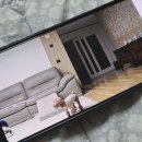 몽모드펫 이미지