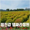 연천교통 | 연천 임진강 댑싸리공원 가는길 주차 대중교통 입장료 총정리