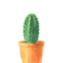 미술 드로잉 이미지