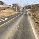 천북주유소 이미지