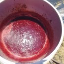 수재농장 이미지