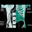 당뇨치료 혈자리 이미지