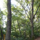 명륜동-6 이미지