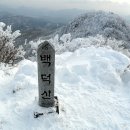 2월 4일 정기산행 백덕산(눈 산행) 이미지