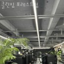 짐포레스트 이미지